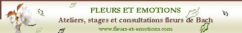 Banniere fleurs et emotions